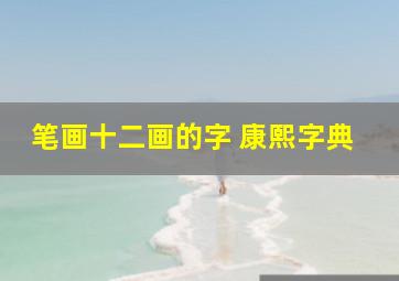 笔画十二画的字 康熙字典